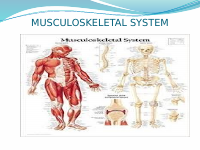 musculoskeletal disorder.pptx